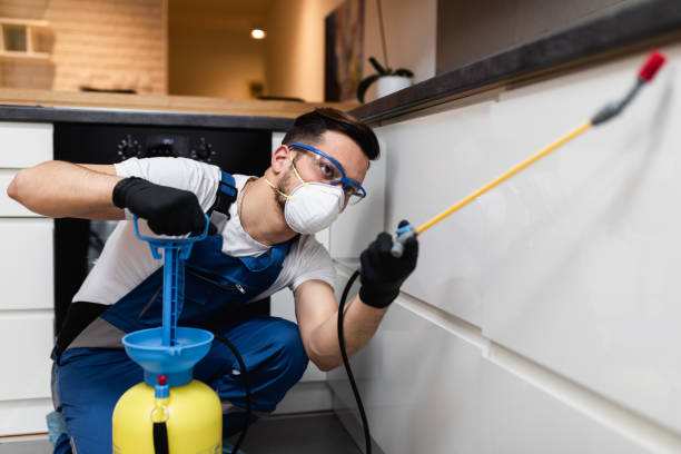 Best Bed Bug Extermination  in Gulf Breeze, FL
