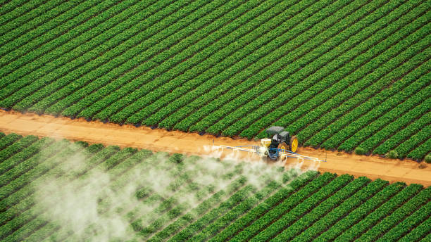 Best Insect Control  in Gulf Breeze, FL