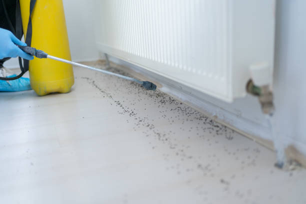 Best Best Pest Control Companies  in Gulf Breeze, FL