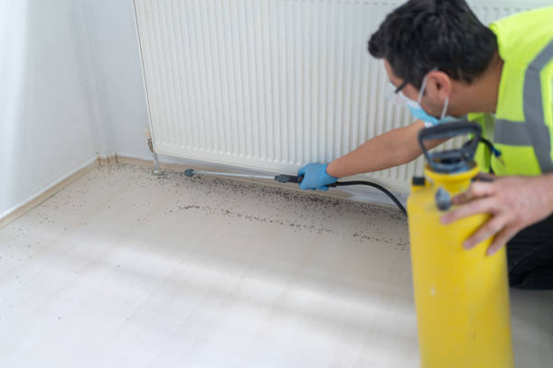 Best Pest Control for Homes  in Gulf Breeze, FL